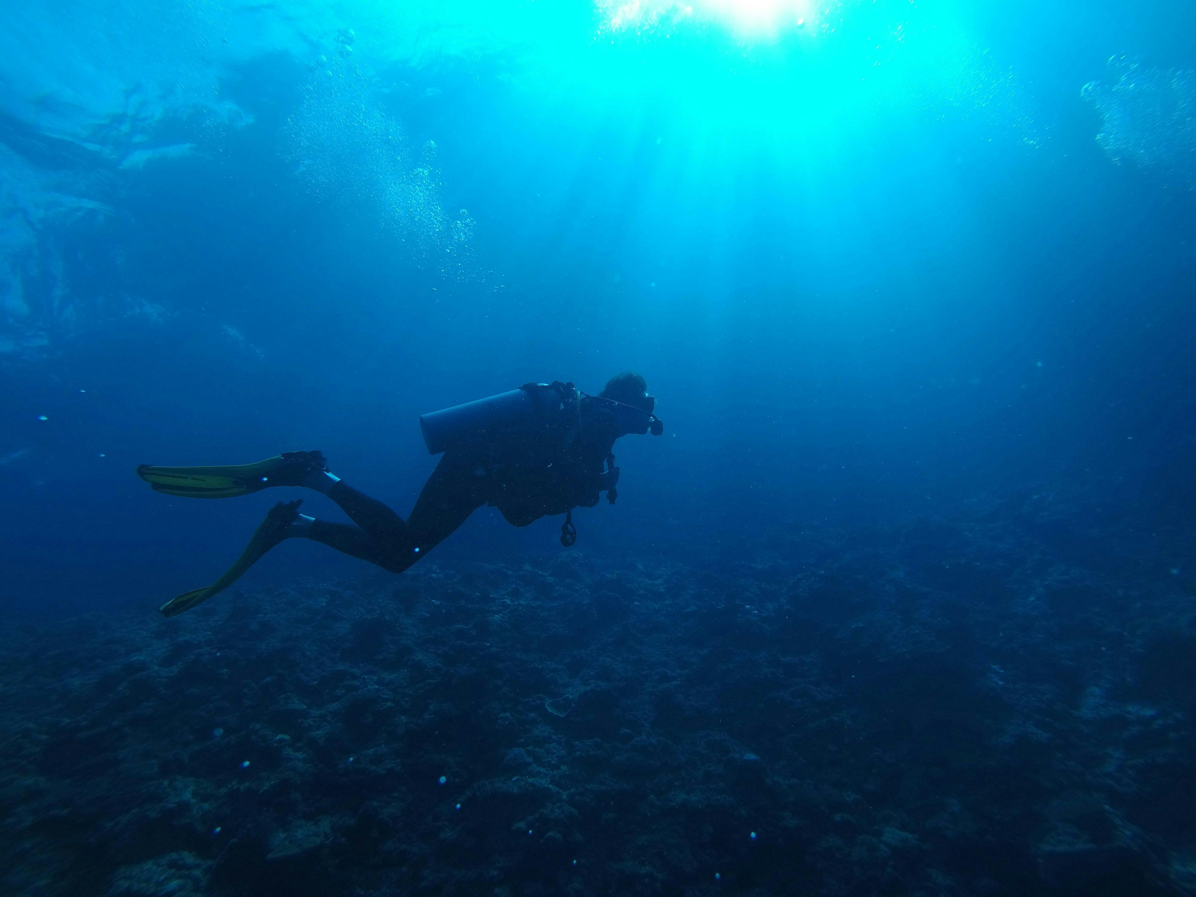 Commercial Diving & Underwater Services